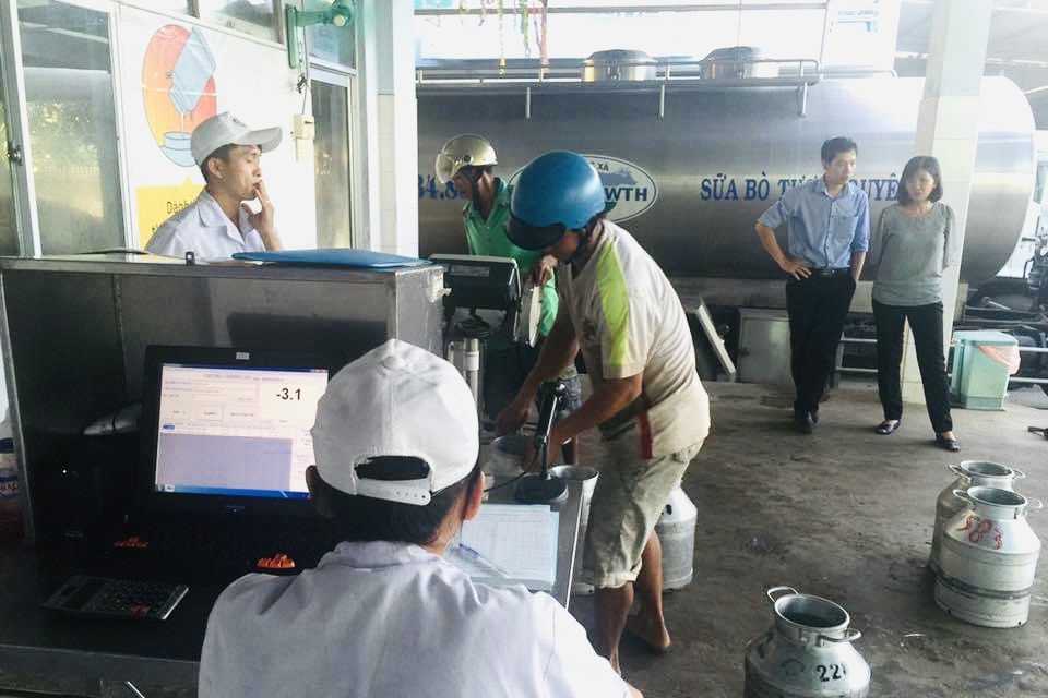 “Hợp tác xã bò sữa Sóc Trăng”: Mô hình chăn nuôi hiệu quả góp phần giảm nghèo