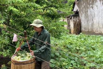 Hợp tác xã Nông sản Chi Lăng: Đẩy mạnh liên kết tiêu thụ nông sản cho nông dân