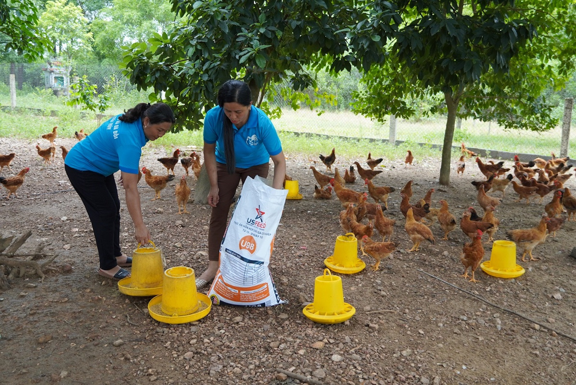 Hợp tác xã nông nghiệp tiếp sức phong trào xây dựng NTM ở Quảng Bình
