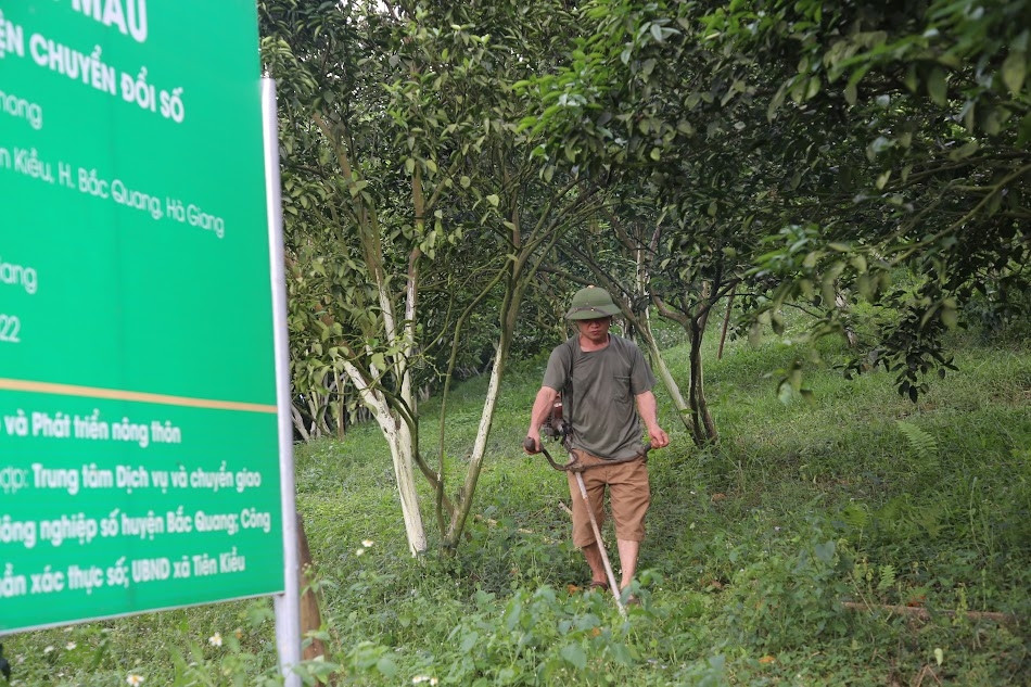 Khi nông sản của các hợp tác xã mạnh dạn… “tiến lên” TikTok
