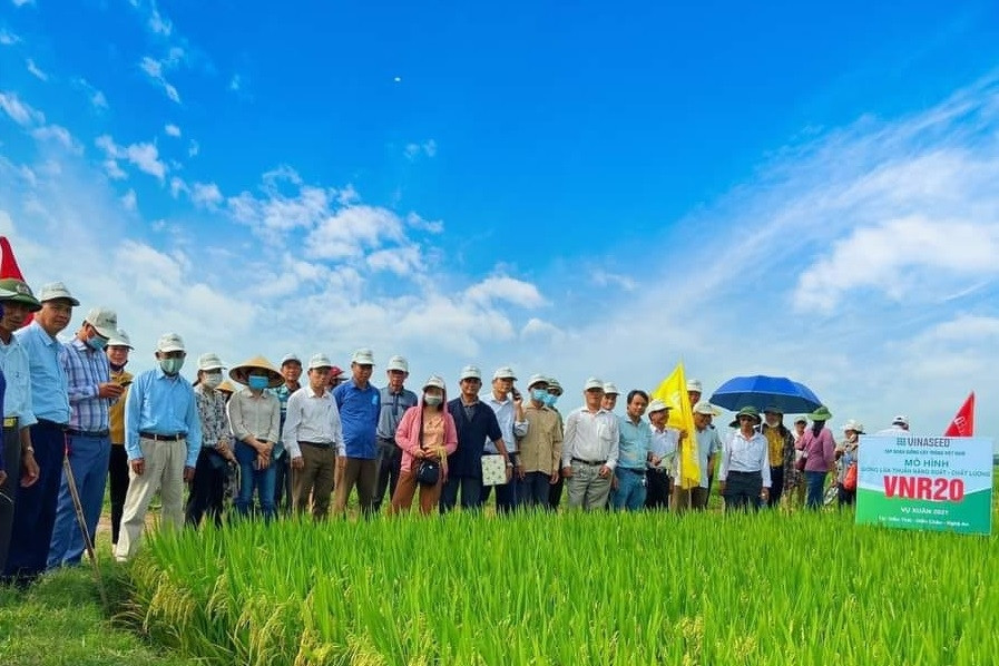Lạng Sơn: Nhiều giải pháp phát triển kinh tế tập thể trong năm 2024