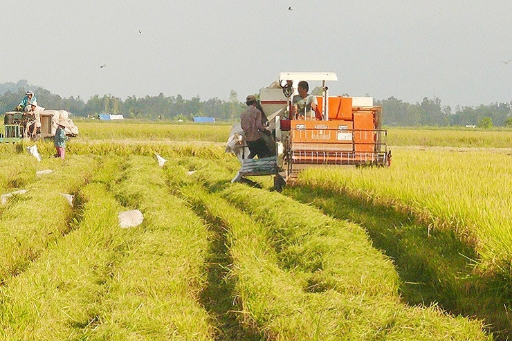 Liên kết doanh nghiệp để phát triển hợp tác xã đa ngành nghề, đa dịch vụ