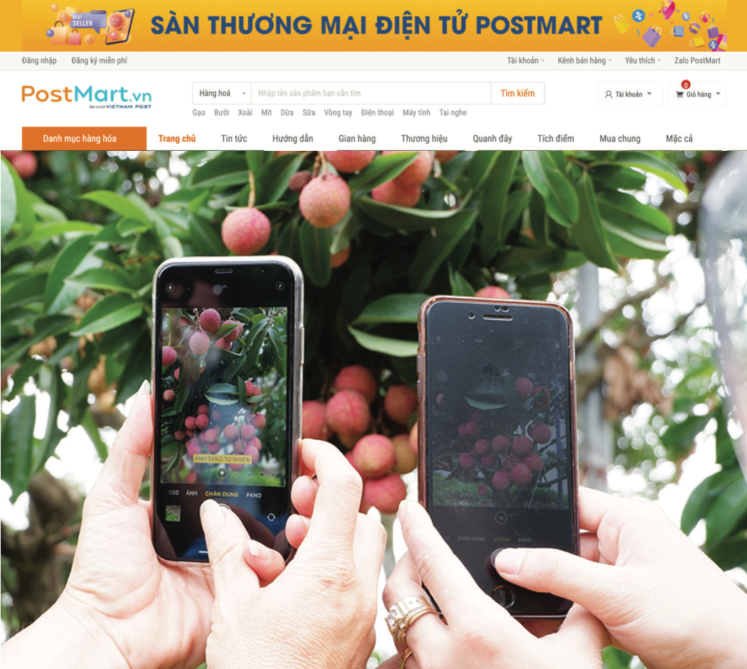 san tmdt postmart 2.png