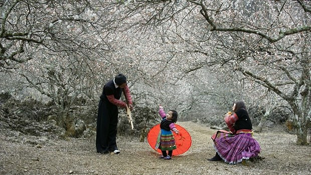 Vietnam developing community-based tourism hinh anh 1