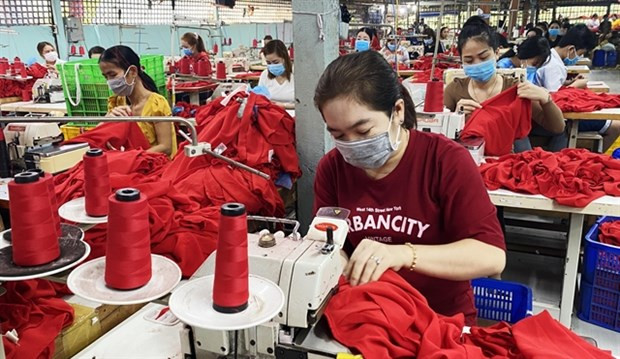 Labour market quality yet to improve: GSO hinh anh 1