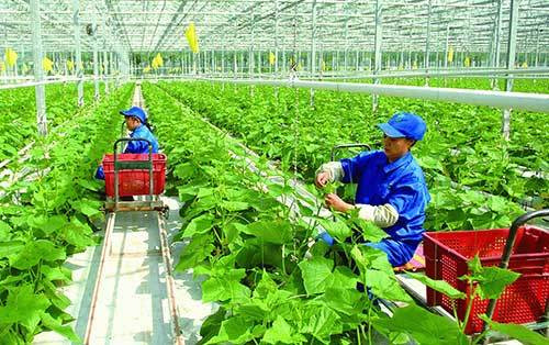 ban sao vietnamnet.jpg