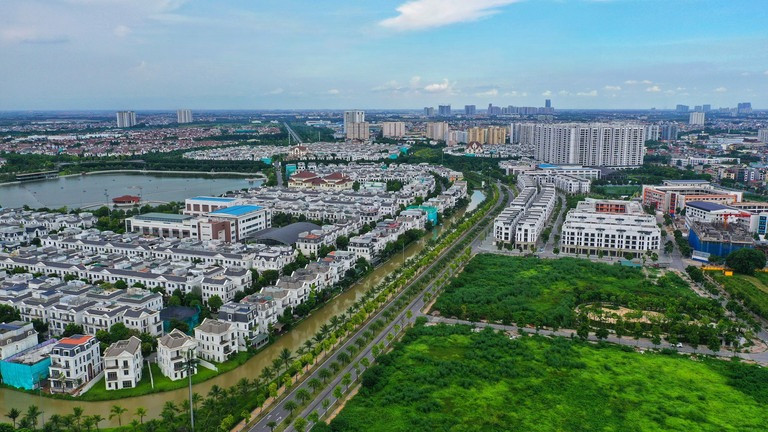 bds highlight photoroom.jpg