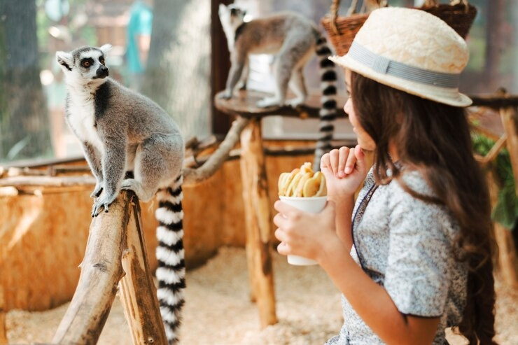 Mối nguy hiểm của trào lưu nuôi động vật hoang dã làm 'thú cưng'