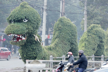 Cận cảnh cặp 'rồng xanh' ở Nghệ An đang gây xôn xao dư luận