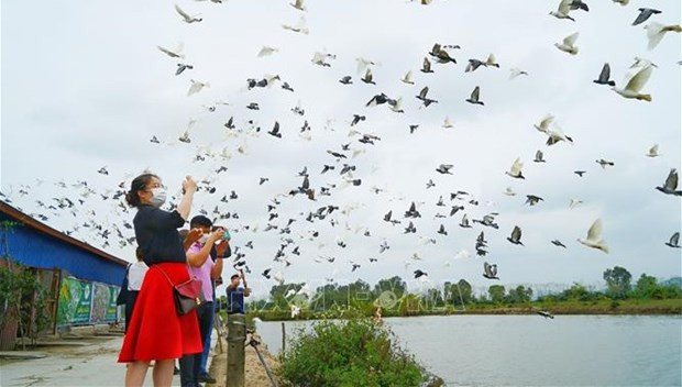 Draft directive eyes to build brand for cultural products, services hinh anh 1