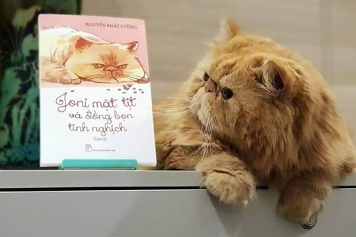 Chuyện về mèo Joni có năng lực chữa lành thương tổn đạt giải B Sách quốc gia