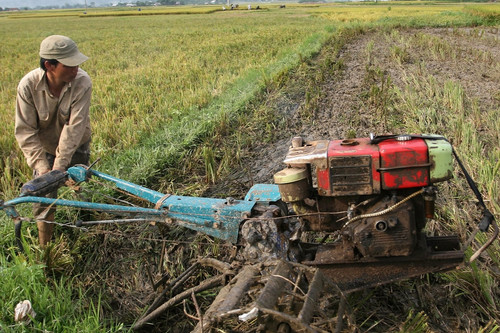 Hóc Môn giải quyết hơn 3.000 việc làm cho lao động nông nghiệp