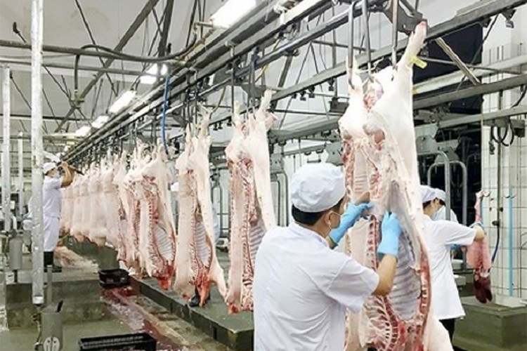 Việt Nam đặt mục tiêu đạt giá trị xuất khẩu sản phẩm chăn nuôi 1-1,5 tỷ USD vào năm 2025