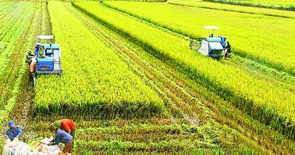 VN agriculture reaches highest growth rate in 10 years