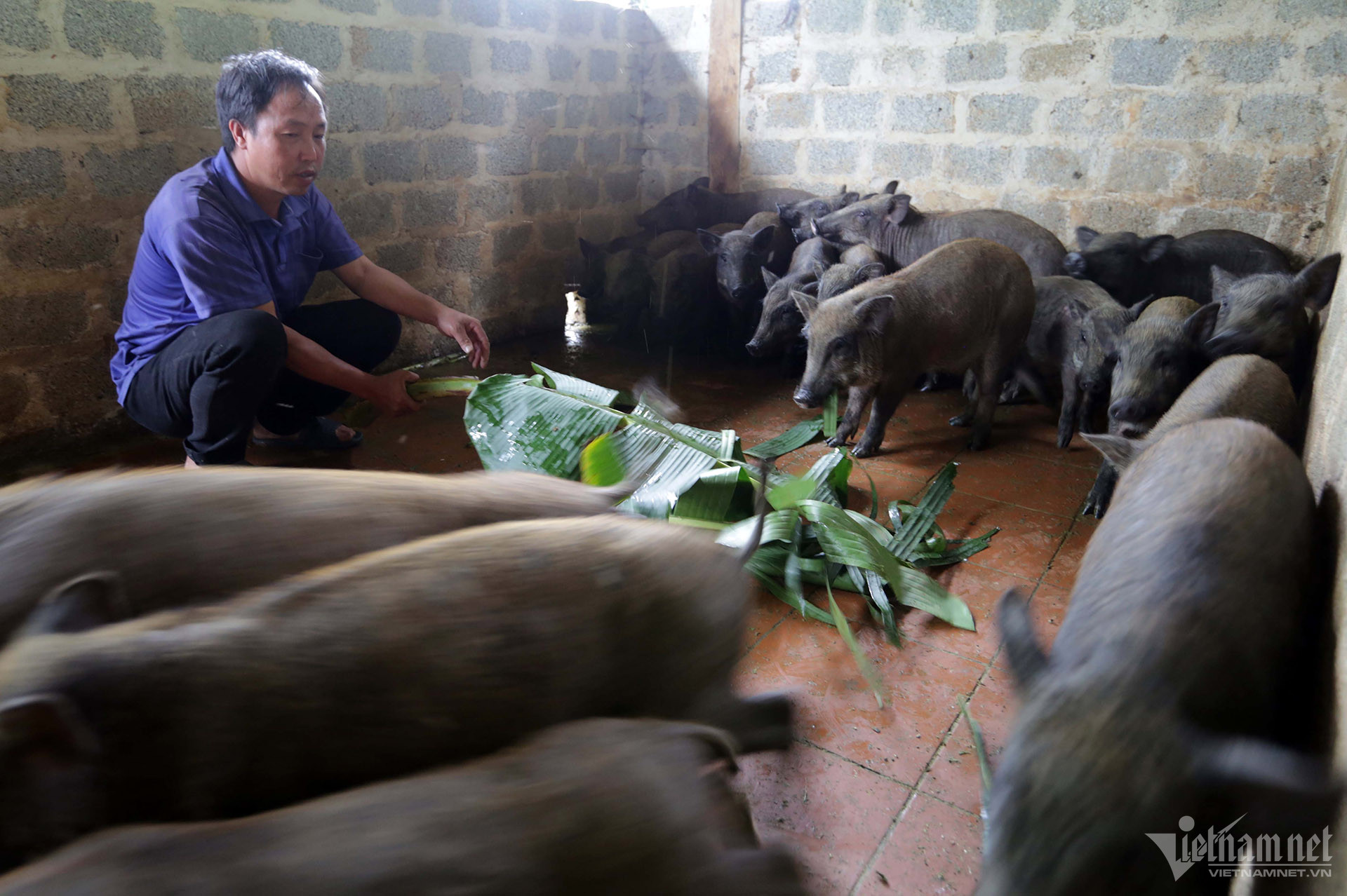 W-a16-thao-a-phong-nam-khat-mcc-6983-3.jpg