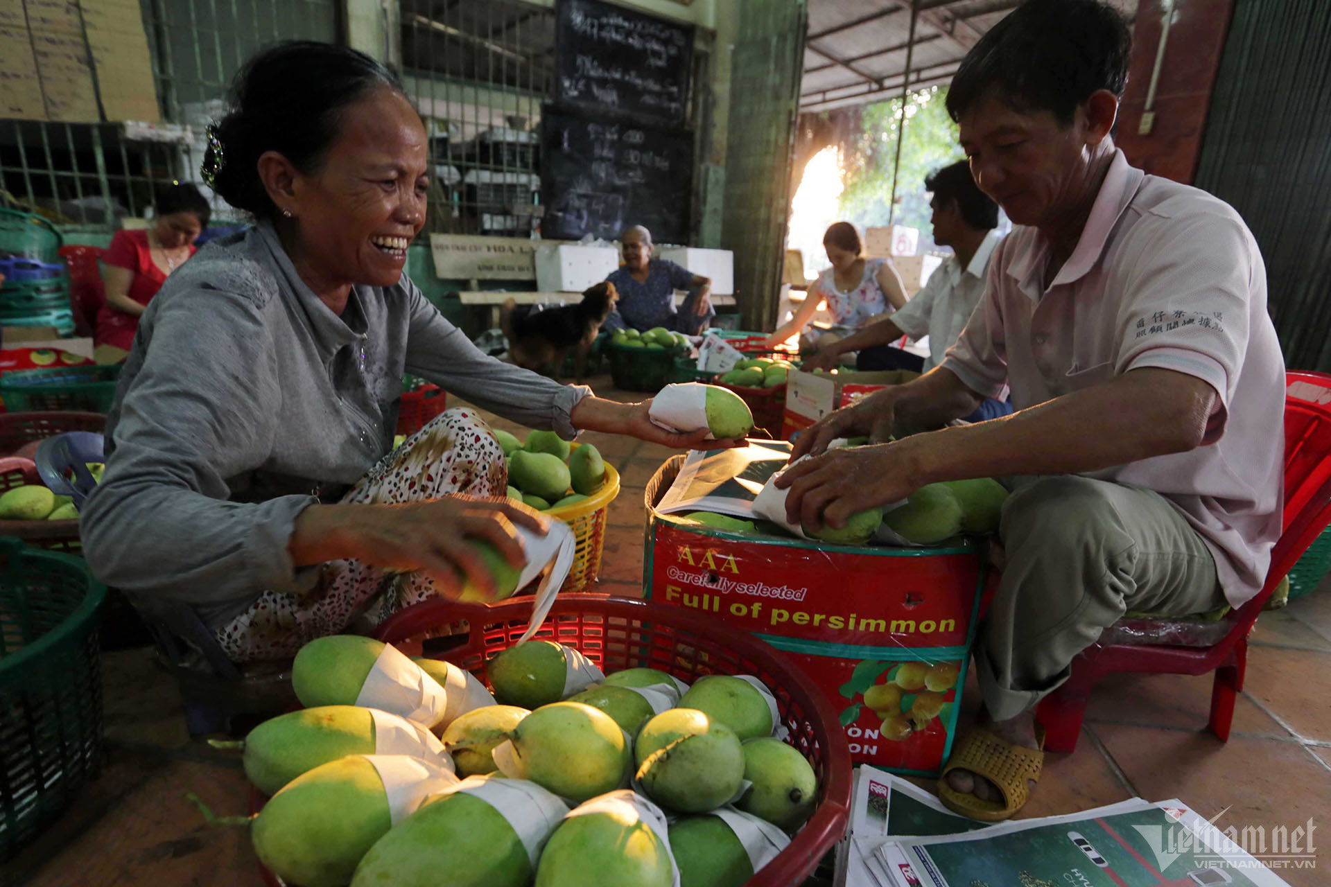 W-a16-vv-hoa-thanh-tay-ninh-9229-1.jpg
