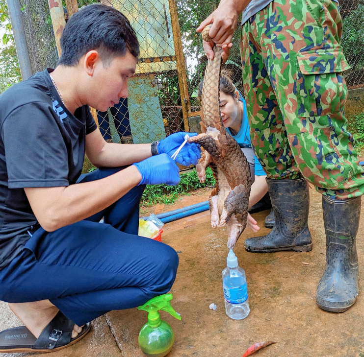 cham soc dong vat.png