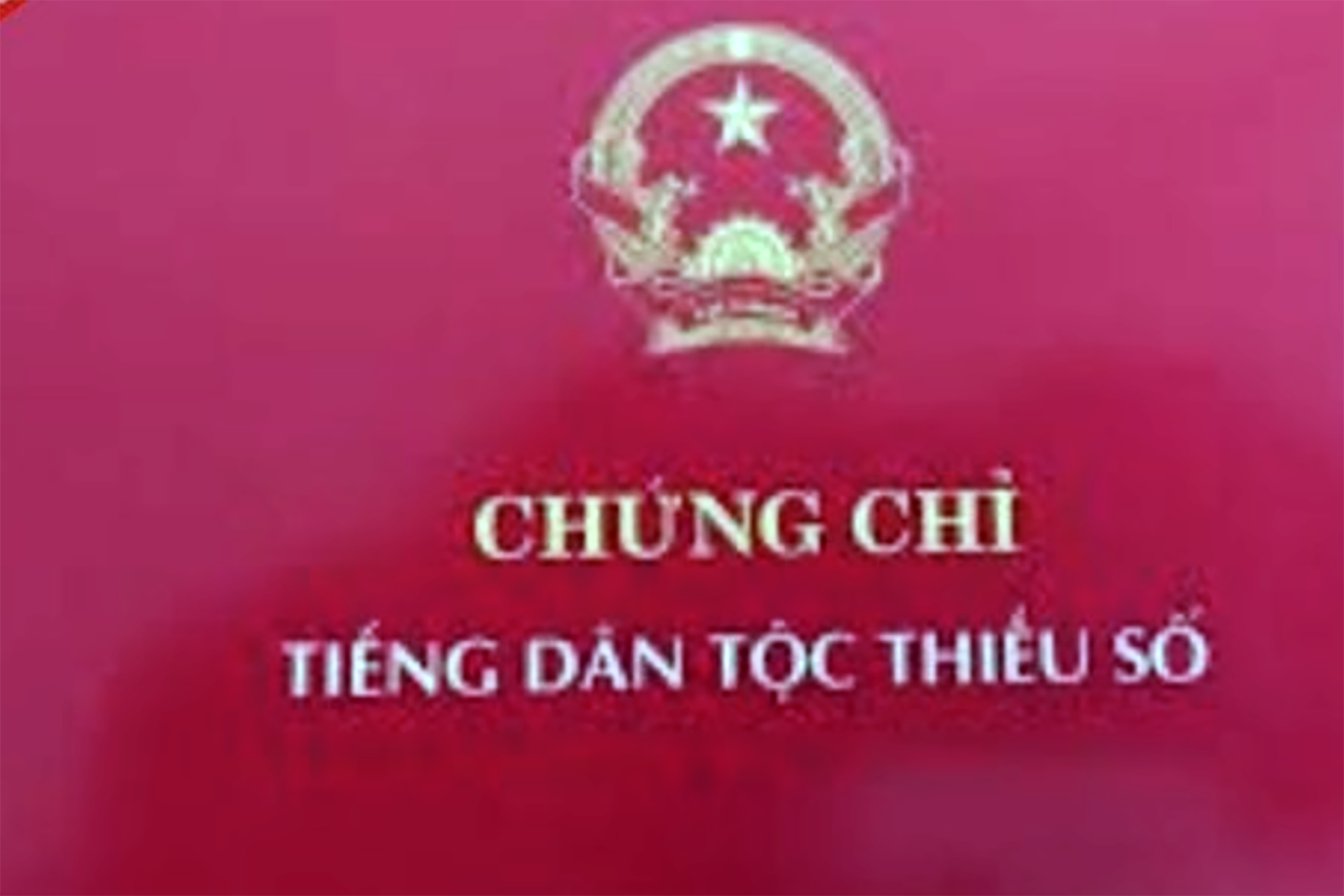 Điều tra 13 người sử dụng chứng chỉ giả dự thi viên chức ngành giáo dục