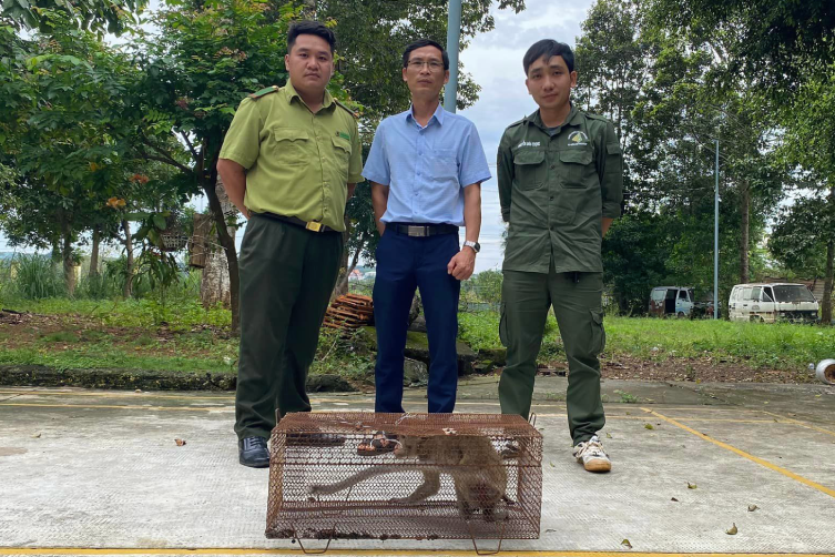 dong vat hoang da.png