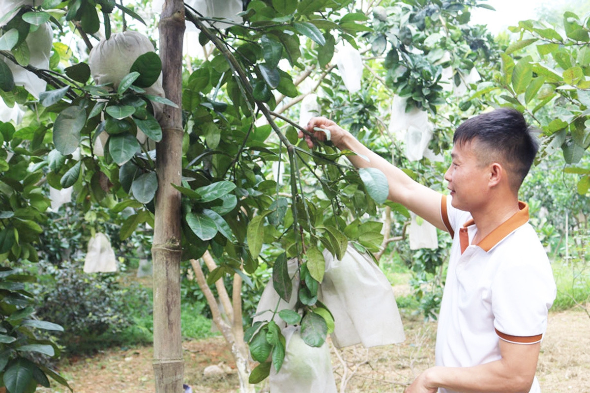 Hợp tác xã góp phần giúp giảm nghèo bền vững ở Đồng Hỷ