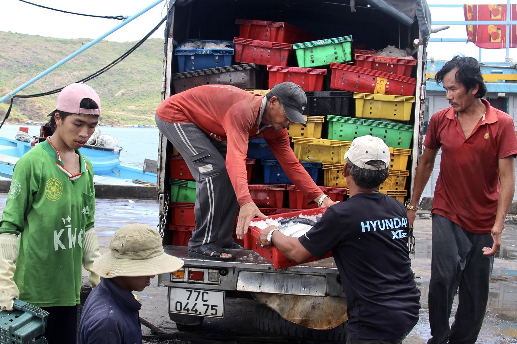 Khai thác hải sản bền vững, nhiều địa phương “nói không” với đánh bắt tận diệt