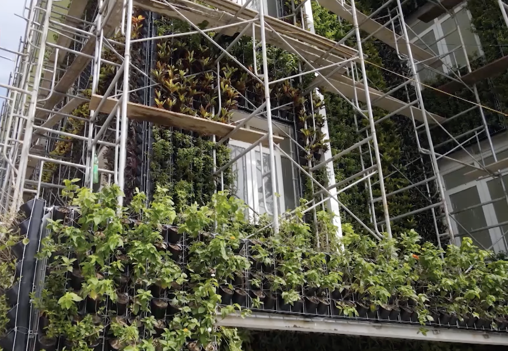 Công trình xanh sẽ thúc đẩy các giải pháp thiết kế kiến trúc, nội thất xanh