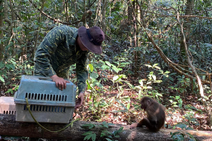 dong vat hoang da 1.png