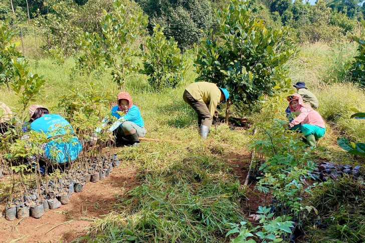 Những chuyến đi của tình nguyện viên cứu hộ động vật