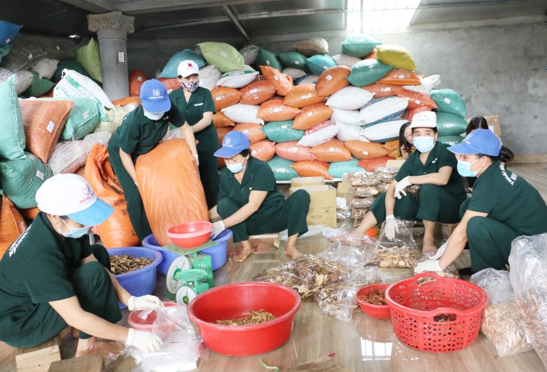 sang kien hoa binh.jpg