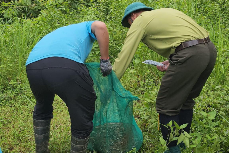 tha dong vat ve rung.png