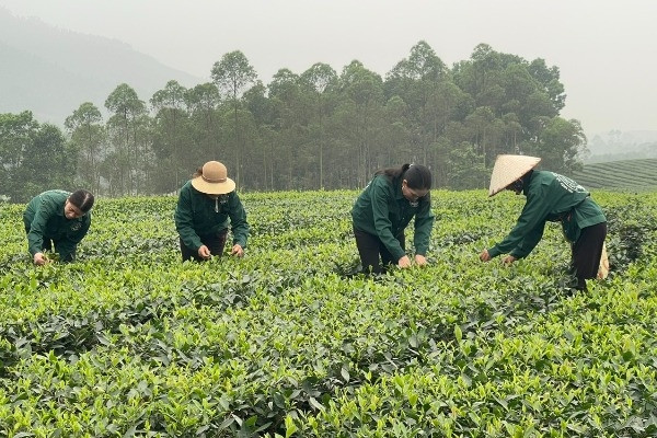 Tổng Liên đoàn Lao động tiếp tục hỗ trợ lao động mất việc 1-3 triệu đồng