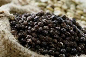 US emerges as largest consumer of Vietnamese pepper