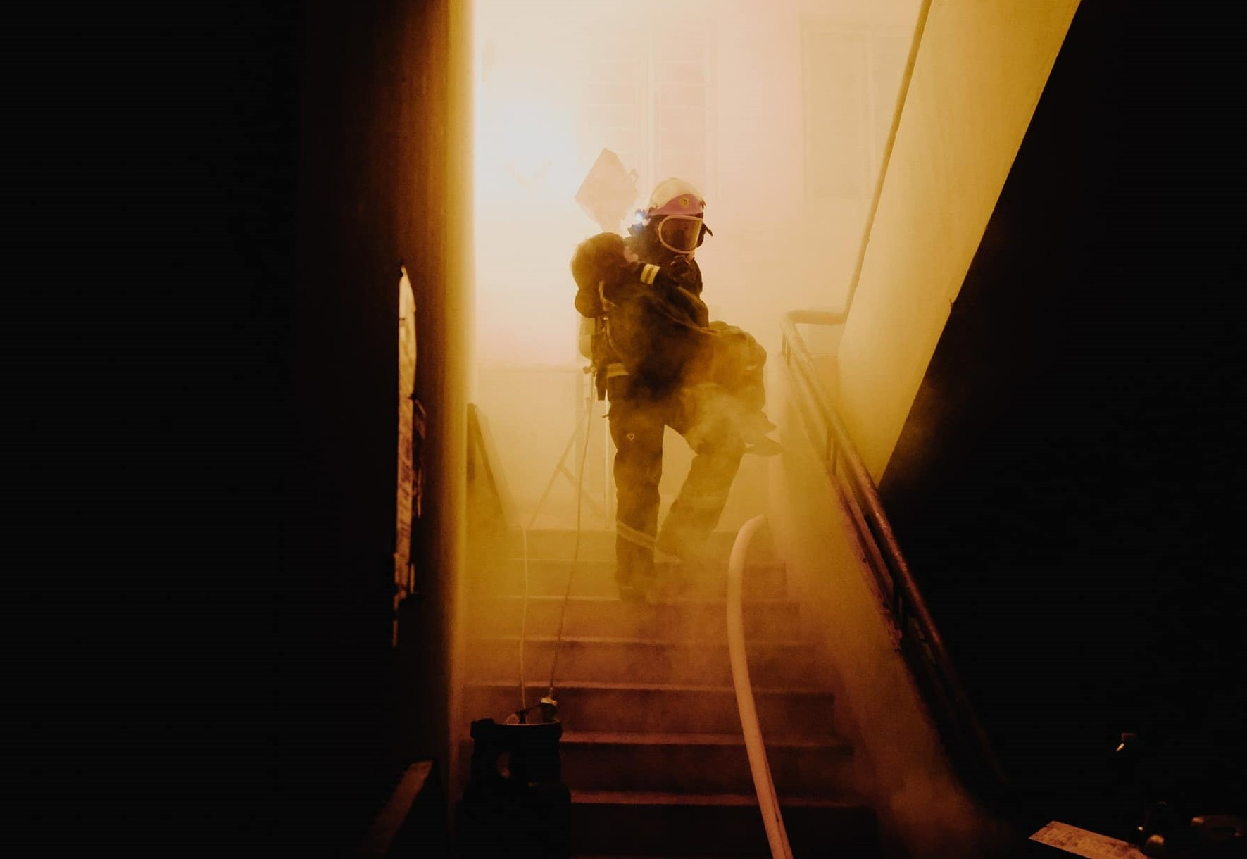 414664241 1047683169827576 6918329433506108174 n.jpg