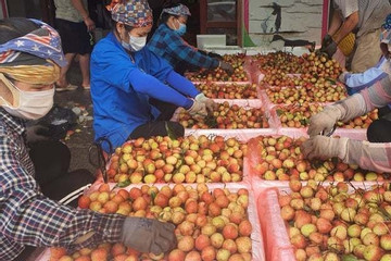 Bắc Giang nỗ lực để người tiêu dùng tiếp cận được nguồn thực phẩm an toàn