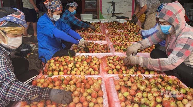 quyen loi nguoi tieu dung b11a.jpg