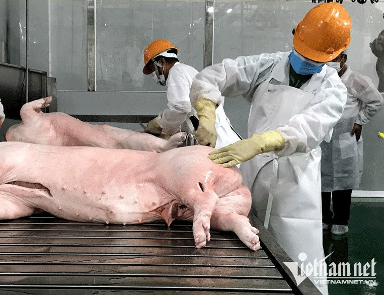 quyen loi nguoi tieu dung b6b.jpg