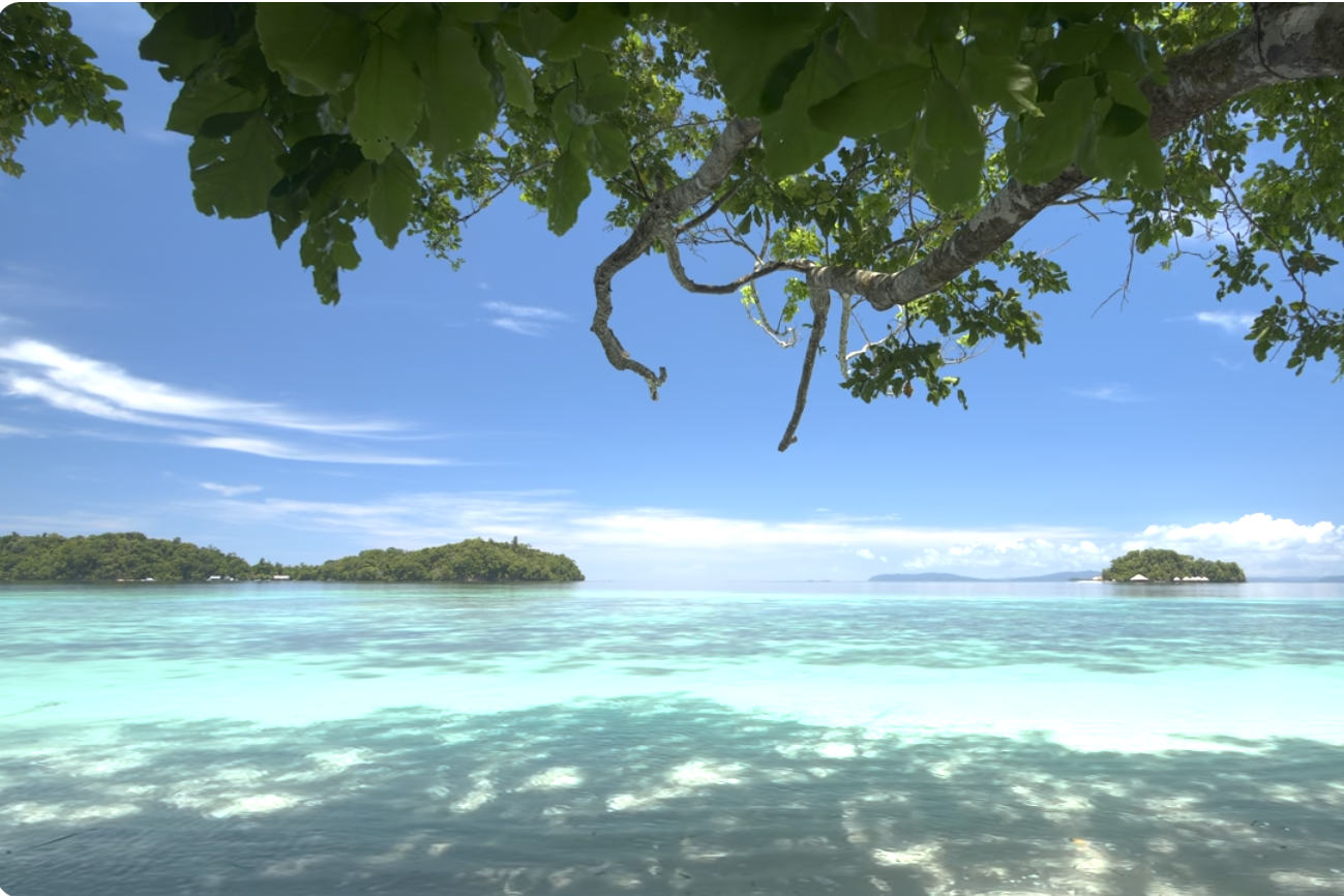 Việt Nam kiên trì giải quyết mọi vấn đề bất đồng bằng biện pháp hòa bình, trên cơ sở luật pháp quốc tế,