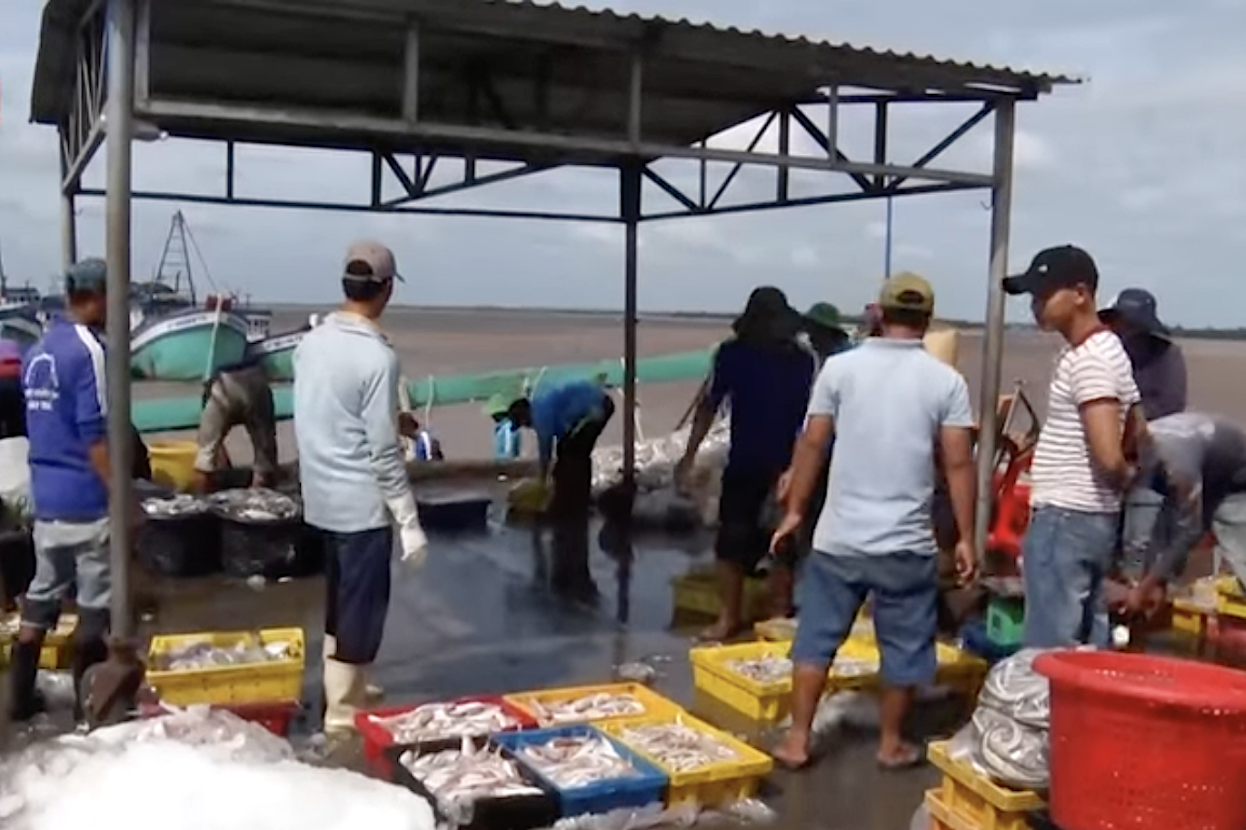 Bảo tồn và phát triển bền vững biển và đại dương