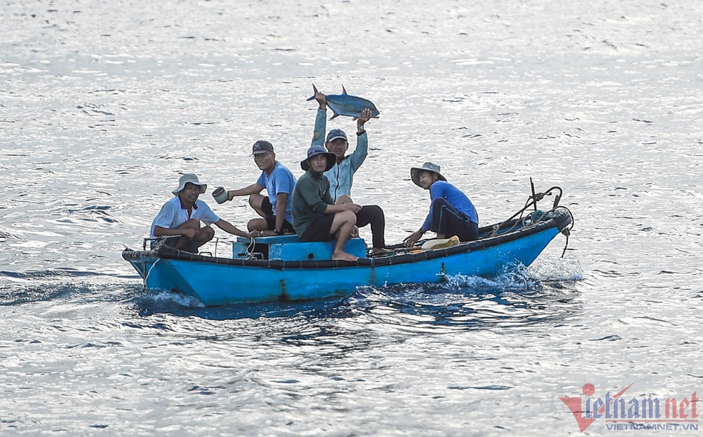 bien dao b5a.jpg