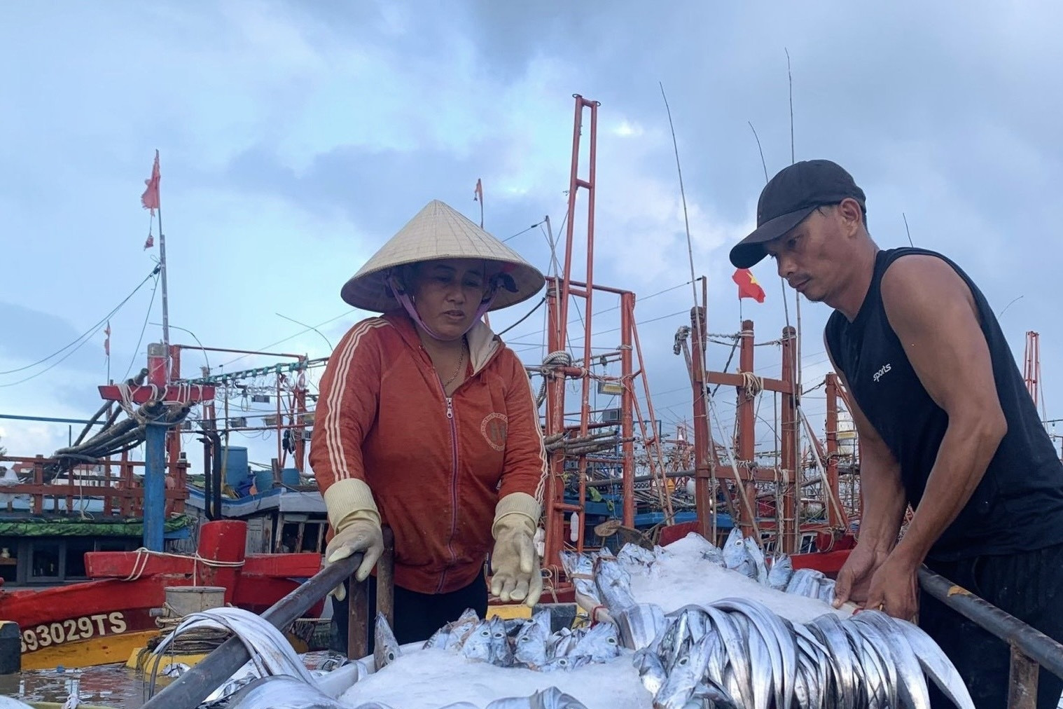 Cảnh Gianh (Quảng Bình): Tăng cường tuyên truyền chống khai thác IUU