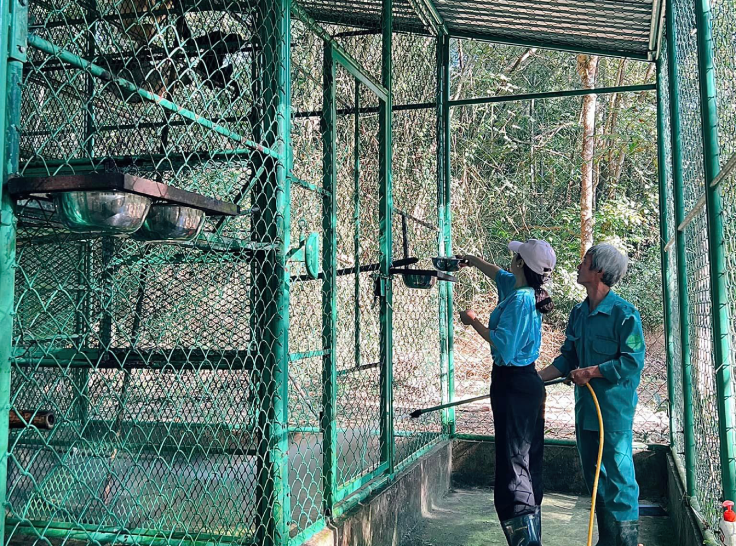 cham soc dv hoang da.png