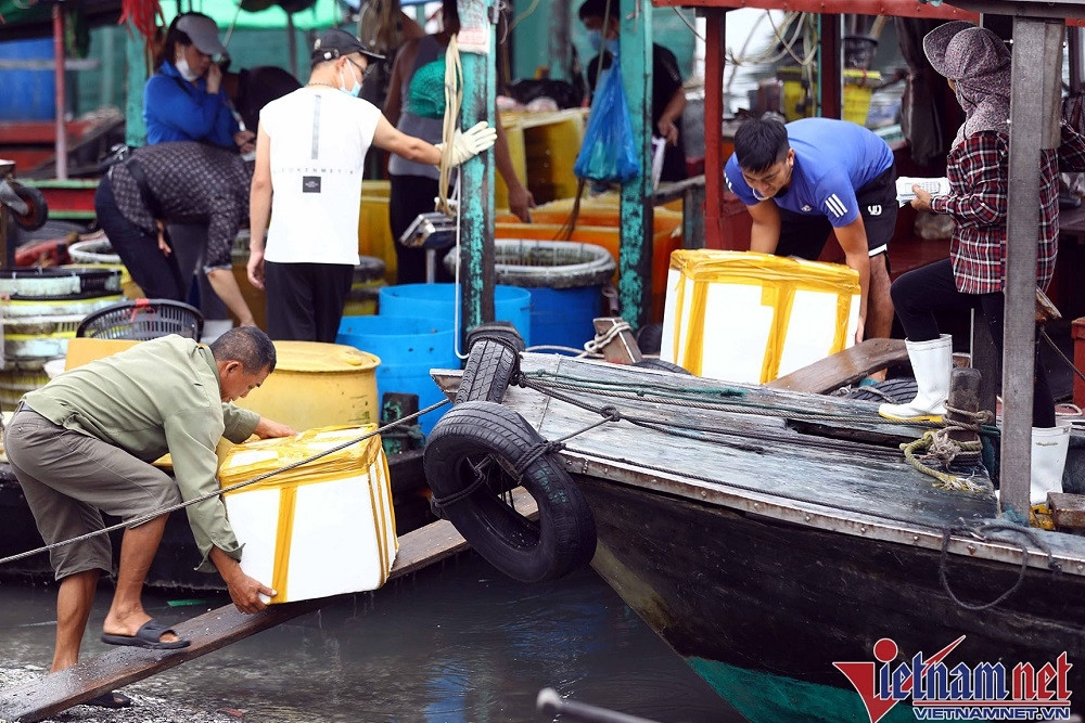 Kiên Giang và Sóc Trăng trao đổi kinh nghiệm chống khai thác IUU