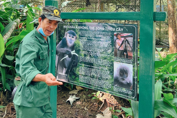 Quảng Nam: Tây Giang nỗ lực đấu tranh với nạn mua bán bắt động vật hoang dã
