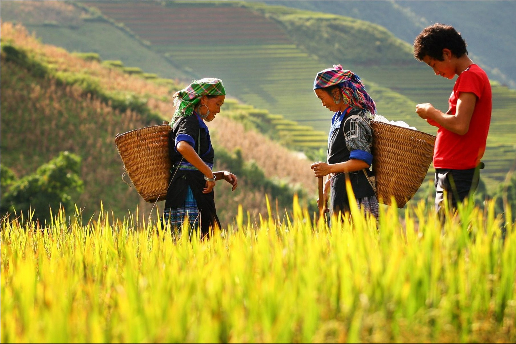 Việt Nam được vinh danh là quốc gia an toàn nhất để du lịch ở châu Á