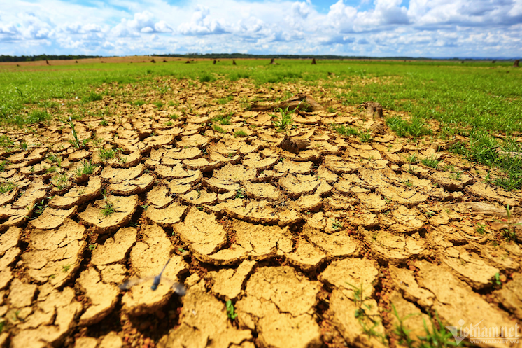 Giúp người dân chủ động hơn trong ứng phó hạn mặn ngay từ đầu mùa khô