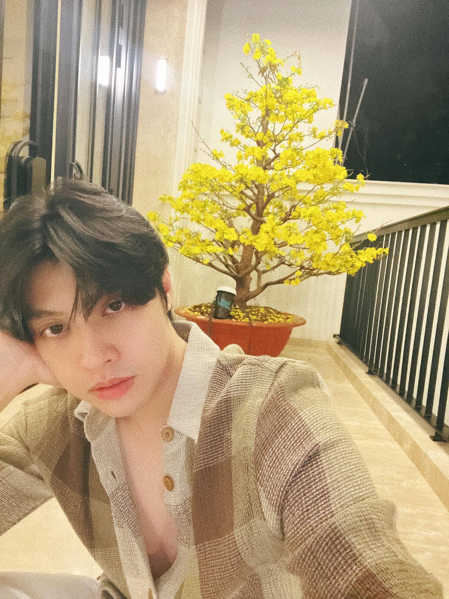 427176845 2946522165487628 6486941696596233790 n.jpg