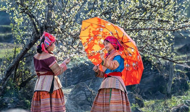 Traditional Tet of Vietnamese ethnic minorities hinh anh 1