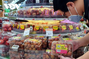 EU is third largest consumer of Vietnamese fruits, vegetables