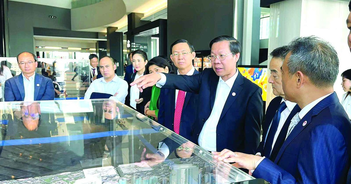 HCMC promotes ​economic diplomacy, calling for investment