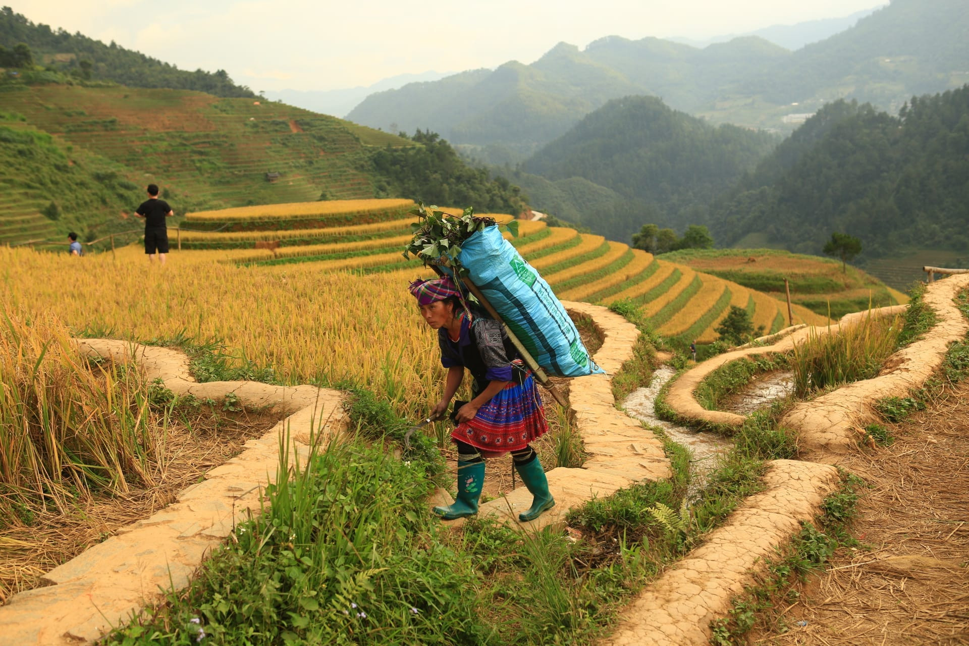 Minh chứng sống động cho thấy uy tín của Việt Nam không ngừng được nâng cao